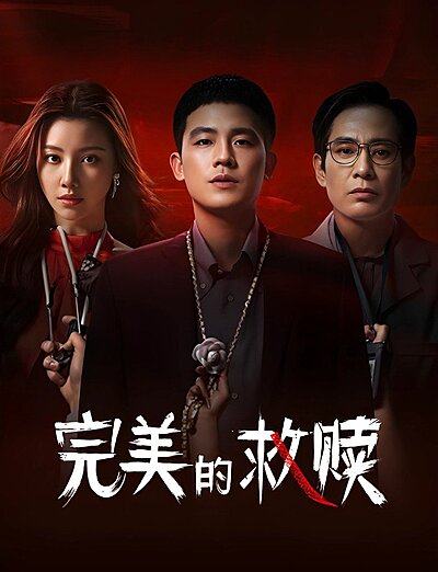 The Perfect Suspect (2025)